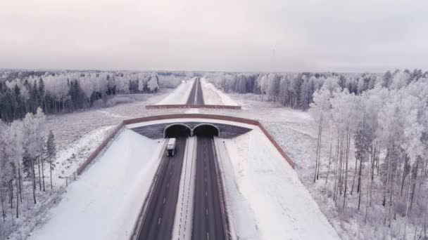 Tallinn Estonia February 2022 Πυροβολισμός Από Drone Γέφυρας Για Ζώα — Αρχείο Βίντεο