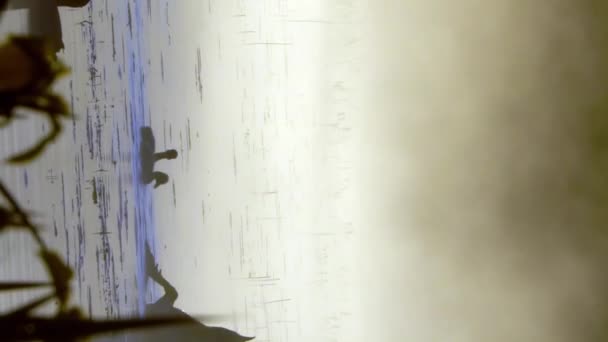 湖の水の上の霧が泳いでいる バードウォッチング リトル チックス ウォーム トーン 早朝の日の出 カメラはゆっくりと後ろに移動する 垂直フォーマットビデオ — ストック動画