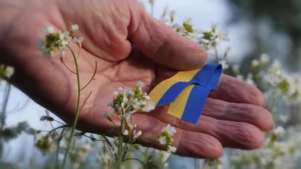 在自然界中带有乌克兰符号的人 模糊的背景 闭塞射击 蓝色和黄色 天空中的背景 绿色的 有选择的重点 — 图库视频影像