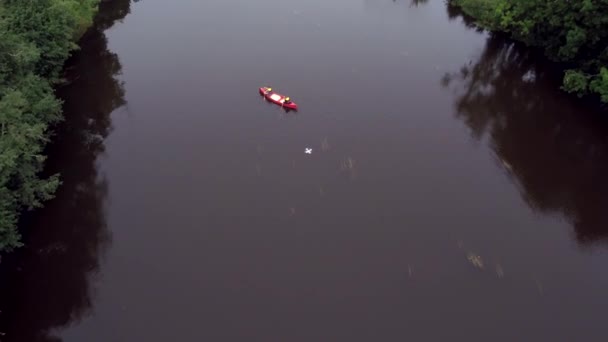 Una Toma Aérea Canoa Rosa Río Vacaciones Activas Naturaleza Cámara — Vídeos de Stock