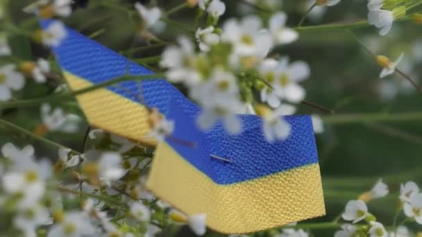 Närbild Skott Ukrainsk Emblem Fäst Vid Blomma Oklar Bakgrund Växter — Stockvideo