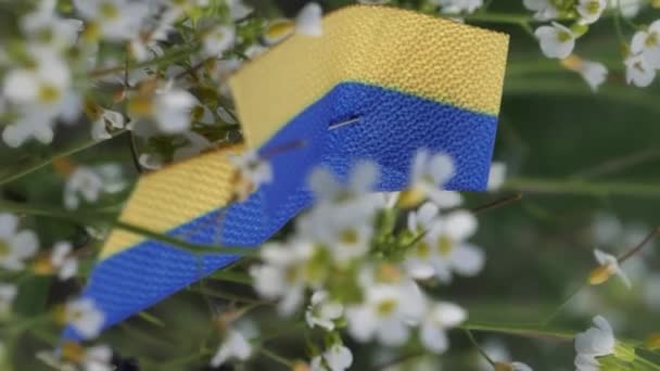 Ukraiński Godło Przymocowany Kwiat Strzał Bliska Zieleń Niebieski Żółty Zamazane — Wideo stockowe