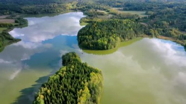Göl, Finlandiya 'nın karavan bölgesinde ağaçlarla çevrilidir. Kamera yavaşça geriye hareket ediyor..