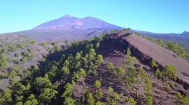 İspanya 'nın Tenerife bölgesindeki El Teide volkanının üzerinde ağaçlar olan sıradağlarından biri. Volkanik manzara. Kamera yavaşça sağa doğru hareket ediyor.