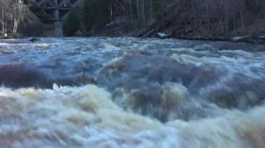 Güneşli bir günde, bir ormanla çevrili hızlı bir nehrin yakın çekim görüntüsü. Kamerayla birlikte hava jeolojisi yavaşça ileri doğru hareket ediyor..
