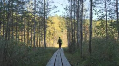 Orman patikasında ağaçların yanında ağaçlar ve orman yolunda yürüyen bir kadın. Bataklık manzarası, orman, mavi gökyüzü.