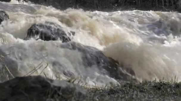 Riverside Travnatá Skála Rychle Tekoucí Řekou Geologický Záběr Kamerou Mírně — Stock video