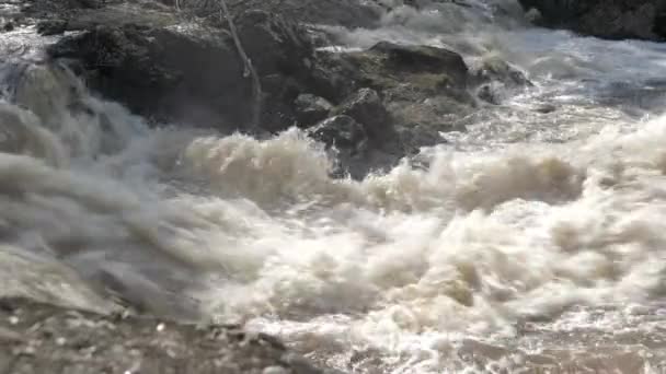 Voda Stékající Malém Vodopádu Jarní Příroda Geologický Snímek Kamerou Velmi — Stock video