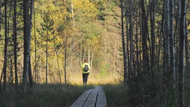 Dame Marchant Sur Les Sentiers Forestiers Dans Réserve Naturelle Sur — Video