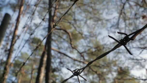 Bliższe Spojrzenie Druty Kolczaste Lesie Finlandii Obiektu Wojskowego Strzeżonej Ziemi — Wideo stockowe