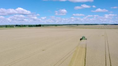 Buğday tarlasının hava görüntüsü hasat makinesiyle tahıllardan ekin topluyor. Uzayı kopyala Tarım. Kamera yavaşça yukarı doğru yükseliyor..