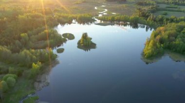 Ao Estonya 'nın bataklıklarını çevreleyen uzun ağaçlar. Güneş çok parlak parlıyor. Yukarıdan bak. Kamera aşağı iniyor. jeoloji görüntüsü