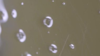 Şehirdeki oto yıkama makinesinin suyundan kabarcıklar geliyor. Basınçlı yıkama. Ön cama sıçramış. Dikey Biçim Videosu 