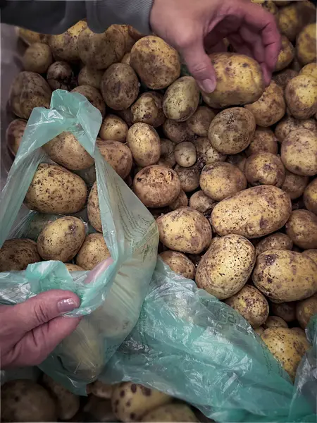 Bir markette iki elin büyük bir taze patates yığınını ayırdığı görülüyor. Patateslerin sıcak toprak tonları yeşil plastik torbayla dolduruluyor..