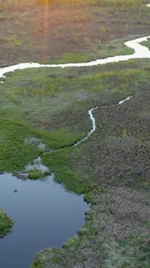 Ao Estonya 'da bataklığın ortasında uzun bir nehir deresi. Güneş gün batımında çok parlak parlıyor. Kamera yavaşça ileri hareket eder. jeoloji Çekimi Dikey Video