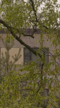 Helsinki. Finlandiya-1 Haziran 2022: Helsinki 'de bir kentsel alanda yaz mevsimi boyunca yağış. Yerleşim yeri. Doğa. Şehirdeki yeşillik. Paneldeki ev. Kamera yakınlaştırılıyor. Dikey video