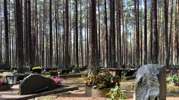 Tranquil forest cemetery in Tallinn, Estonia, showcasing numerous graves adorned with flowers and lanterns, nestled among tall pine trees during the autumn season