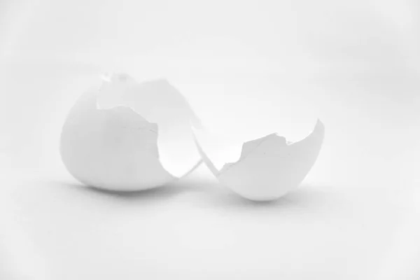 broken white eggshells, white background. High quality photo