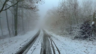 Karla kaplı ormanda asfalt yol