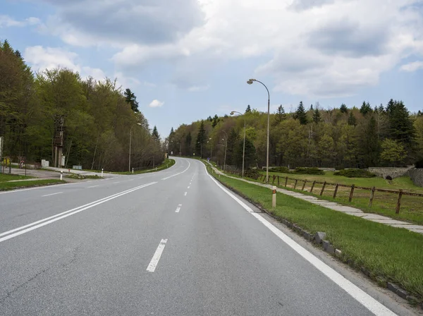 Four-lane asphalt road with lamps, leading through forest and meadow.
