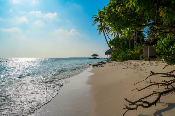 Piękna Piaszczysta Plaża Pobliżu Gęstego Lasu Tropikalnego Słoneczna Pogoda — Zdjęcie stockowe