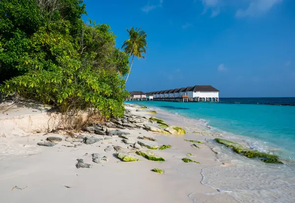 Playa Arena Con Piedras Bosque Sobre Mar Hay Una Hilera — Foto de Stock