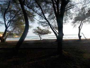 beautiful shot of beach