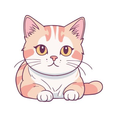 Şirin Portakal Kedi Çizimi