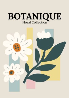 Papatya ve Yeşil Yapraklı Botanique Çiçek Koleksiyonu