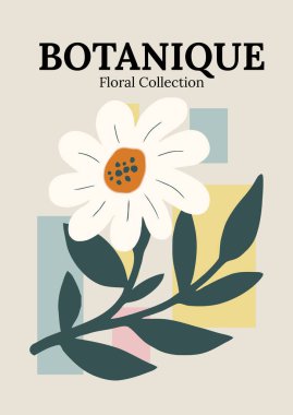 Botanique Çiçek Koleksiyonu Minimalist Daisy İllüstrasyonu