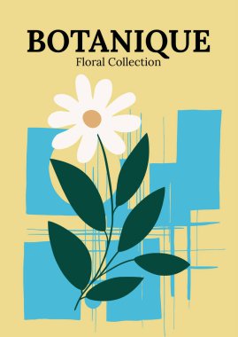 Botanique Çiçek Koleksiyonu Minimalist Daisy İllüstrasyonu