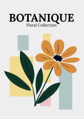 Botanique Çiçek Koleksiyonu Minimalist Daisy İllüstrasyonu
