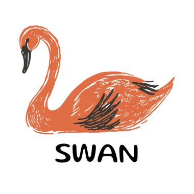 Kuğu Eli Çizim Çizimi Çizimi