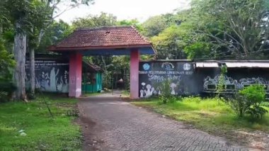 Endonezya 'nın sürdürülebilir doğasında yemyeşil yemyeşil ile çevrili el değmemiş bir gölden sakin bir giriş kapısı.