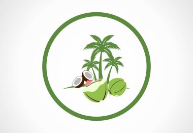 Yaprakları logo tasarım şablonu olan yaratıcı modern hindistan cevizi. Simge Logo vektör çizimi