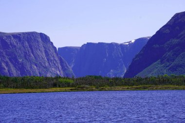 Batı Brook Gölü 'nün kayalık kayalıklarında orman ve su ön planda.