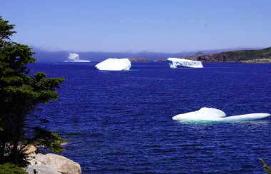 Newfoundland 'ın doğu kıyısındaki okyanus körfezinde küçük buzdağları.