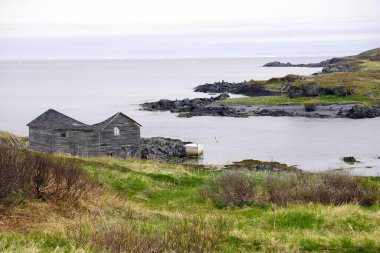 Terk edilmiş, çökmüş ahşap bir ev Newfoundland 'ın kuzey doğu kıyısındaki çimenli bir çayıra kurulmuş.