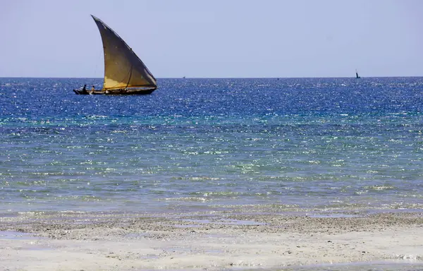 Dhow Tanzanya 'nın güney kıyısında ıssız bir plajda yelken açıyor.