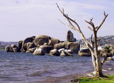 Granite blocks of Bismarck Rock with a leafless tree in the foreground and Lake Victoria in the background clipart