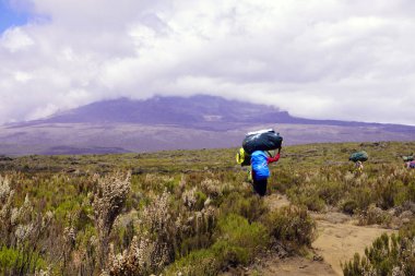 Porter, Kilimanjaro Dağı 'nın zirvesine doğru bir platodan geçen erzak yüklü.