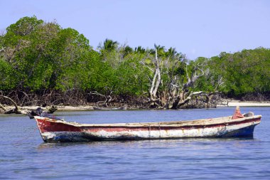 Eski kırmızı ve beyaz ahşap kayık kıyıdan uzakta demirlemiş mangrov ağaçlarıyla