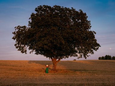 Alacakaranlıkta uzun yeşil elbiseli bir kadın. Yüksek kalite fotoğraf.