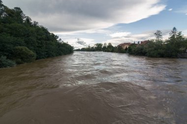 Slovenya 'daki Mura nehri, yağmur yağdıktan sonra. Nehir taşmış..