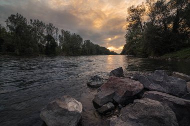 Ormanı ve taşları olan Mura nehri.