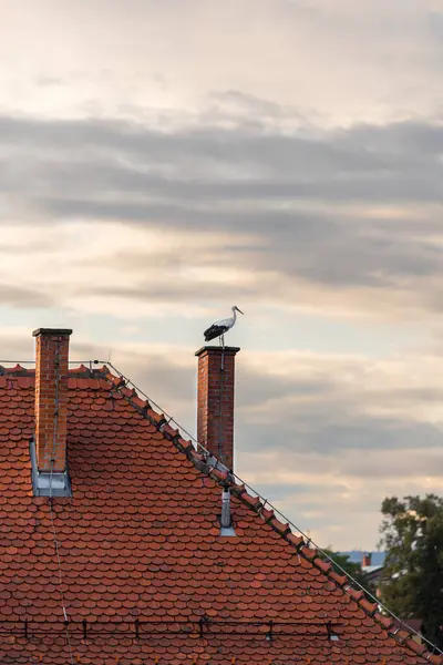 A white stork standign on a chimney and rooftops with cloudy overcast sky.