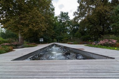 Parkta su ve ağaçlarla dolu bir gölet.