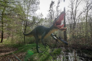 Vahşi yaşam ormanlarındaki bir spinosaurus. Doğadaki bir dinozor kopyası.