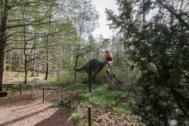 Vahşi yaşam ormanlarındaki bir spinosaurus. Doğadaki bir dinozor kopyası.