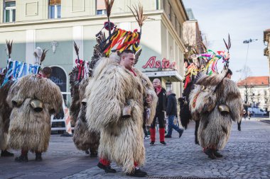 Maribor Slovenya 'da geleneksel karnaval kostümü giymiş bir kuren. Bu bizim kültürümüzde var.